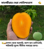 30 KG গোবিন্দভোগ আম (সাতক্ষীরার বাগান থেকে)